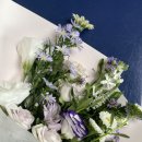 도구로5길 14 이미지