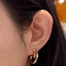 골드드림 | [불가리] 디바스 드림 귀걸이_쿨톤의 로즈골드 v.s. 골드with 세르펜티 후기