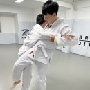 아트주짓수레슬링