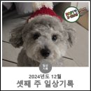 (주)여행투데이 이미지
