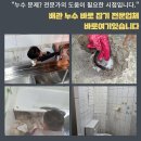 충주평화의집 | 충주 누수탐지 원인분석정확 달천동 노은면 우수관누수 체계적인곳