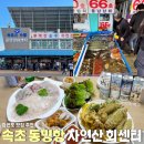 주차66 | 강원도 속초 동명항 회센터 맛집 66호 튀김거리 주차방법 속초맥주 후기