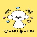 댕바라기 이미지