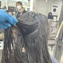 고창미용실 | 고창에서 매직하러 광주까지? 전라북도 곱슬머리 매직...곱슬머리 전문 미용실 진월동미용실 봉선동미용실