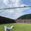 개인공간 | 경주 독채 반려동물 동반 애견펜션 ‘개인공간’ 후기