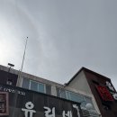 유리네 | 유리네식당 제주, 주차장, 갈치조림, 아기의자 등 내돈내산 후기