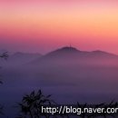 미력 농장 이미지