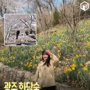 신안랜드공인중개사사무소 네이버블로그
