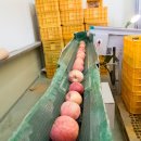 국립농산물품질관리원 영월 이미지