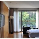 허브밸리(전망대) 이미지