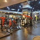 고릴라멀티짐-골프 이미지