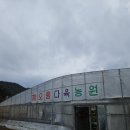 진주 다육이 해오름다육농원