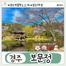 서부농협 건너편 | 경주 벚꽃 개화 시기 확인! 보문정 벚꽃 실시간 주차장 정보 코스 포토존