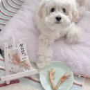 루루퍼피 | 강아지 닭발 간식 먹여도 될까? | 통닭발 급여 후기 및 주의사항