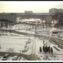 세종청사 15동 이미지