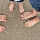 하평농장 이미지