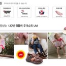 슈즈박스 이미지
