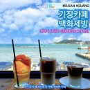 백화제방 | 기장 연화리 카페 시간여행 백화제방 솔직후기