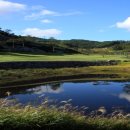 일레븐CC 이미지