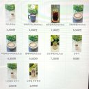 노부스테라 | 부산베이커리 카페 노부스테라 해운대 디저트맛집