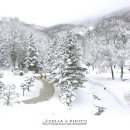 하늘목장 이미지