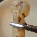 까치네 - 부평구 시장로30번길 8 | 까치네