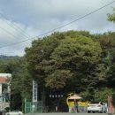 고향카서비스 | 팔공산 동화사 근처 맛집 고향식당 능이오리백숙