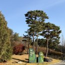 여주CC골프장 | 여주자유CC 골프장 골린이의 첫 라운딩 후기