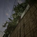 5월 일상 : 우탕탕탕 우당탕탕