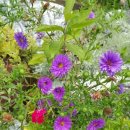 솔바다이야기 이미지