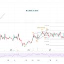 중국 단체여행 허용 화장품관련주, 화장품주