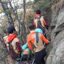 남양인형뽑기 이미지