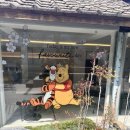 손금선애견세상 | 곰돌이 푸 100주년 기념 푸크닉 팝업 카페 후기🐻🍯