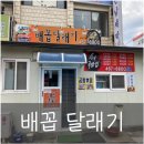 배꼽달래기