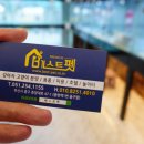 부산강아지분양 고양이분양 베스트펫 본점 이미지