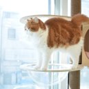 호텔온니