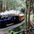 (주)투모로우여행사 이미지