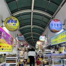 은주수산 | [속초 맛집] 대포항 대게•회 맛집 은주네 활화산 활어 내돈내산 후기 | 또갈집으로 추천