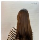 라임헤어 이미지