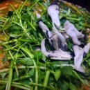 생생민물매운탕 이미지