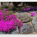 (주)삼일공사 이미지