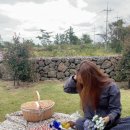 클랭블루스테이커플&숙소&독채 이미지