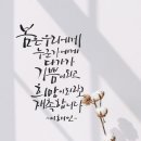 플렉스 펜션 이미지