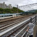 정선하늘터 이미지