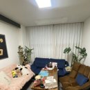 울산탑아로마 스포츠 쉼테라피 후기 (울산 마사지 추천)