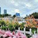 Central Park. 이미지