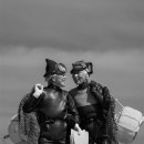 강정동-8 이미지