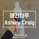 바둑아 사랑해 이미지