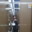 6월 서천독서가치 | [일상] 6월 (2): 월드비전 6k 마라톤, 만배아리랑보쌈...책발전소, 카린지린가네스낵바, 공덕램프, 가치