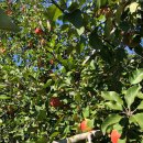 율곡농장 이미지